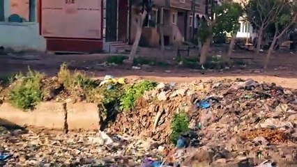 WhatsApp Video 2020-03-29 at 10.20.59 PM