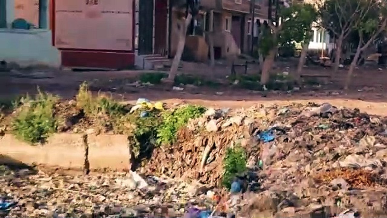 WhatsApp Video 2020-03-29 at 10.20.59 PM