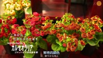 日劇 » 植物男子陽臺星人 第1季06