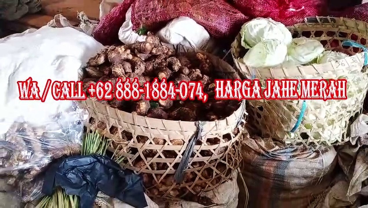 BAGAIMANA CARA MENANGKAL VIRUS CORONA, WA/CALL +628881884074, Jahe Merah Manfaatnya