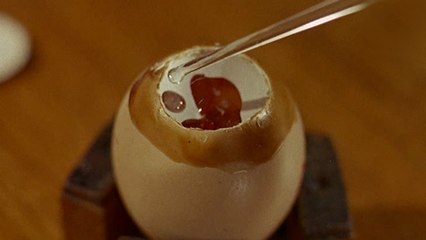 As world hunts for coronavirus vaccine, a look back at eggs used to fight the ‘big sneeze’ in 1956
