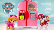 Video with Paw Patrol Refrigerator Fridge Supermarket Shopping