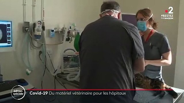 Coronavirus: Des dizaines de vétérinaires à travers la France prêtent leur matériel aux hôpitaux pour soigner les humains