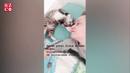 Nilperi Şahinkaya'nın acı günü