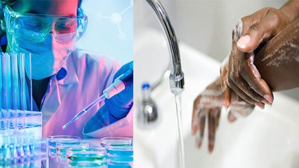 कोरोना वायरस ना कोई जिंदा जीव और न ही ये मरता है, Research में आई बड़ी बात सामने | Boldsky