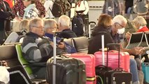 Facua denuncia a ocho aerolíneas por negarse a devolver el importe de los vuelos cancelados