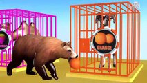 Wrong Fruits Colors Drop on Road for Animals and Cages Cartoon for Children