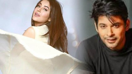 Shehnaz Gill की ये नई फोटो क्या खींची है Siddharth Shukla ने; जानिए सच | FilmiBeat
