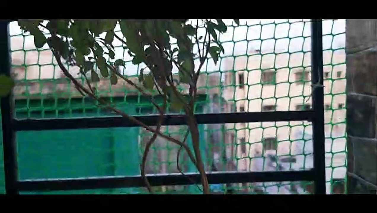 Immunity Boosting Drink ||Natural Immunity Booster ||Drink this for Weight Loss, Glowing Skin||