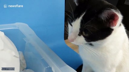 This cool experiment makes SAND behave just like WATER