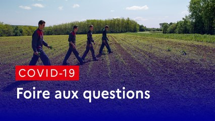 COVID-19 : les réponses à vos questions sur l'enseignement agricole