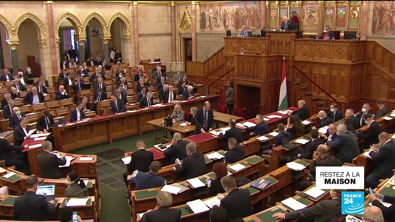 Coronavirus : En Hongrie, Viktor Orban s'assure des pouvoirs quasi illimités