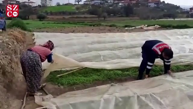 Tarlada çalışan yaşlı kadına jandarma yardım etti