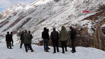 HAKKARİ-Sümbül Dağı eteklerine inen dağ keçilerini izlediler