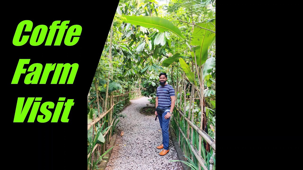 Trying Bali's Famous Coffee | Variety of Coffee & Tea | ft. Happenning Traveller Yogesh l @Bali