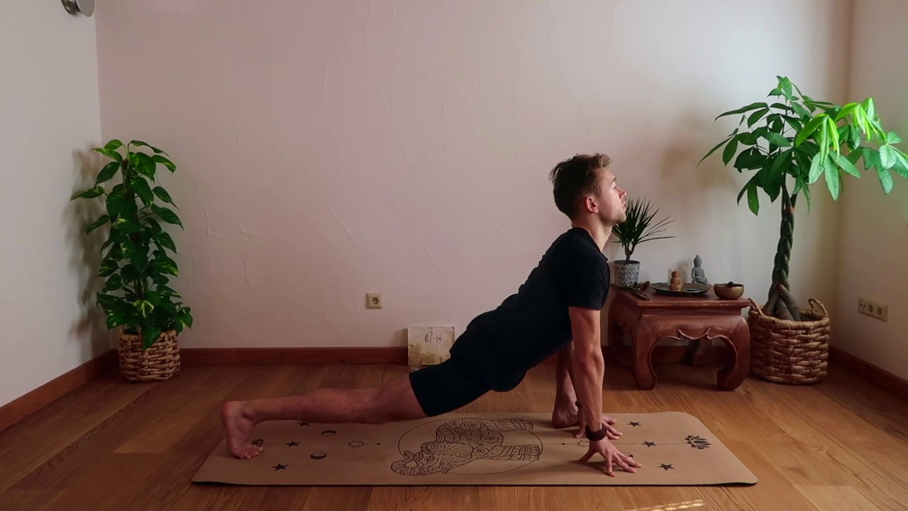 Vinyasa Yoga Flow | Felix Reuter