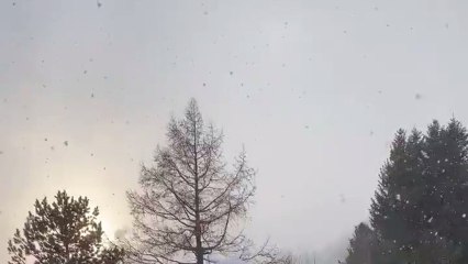 Así entrena Roger Federer bajo la nieve durante la cuarentena