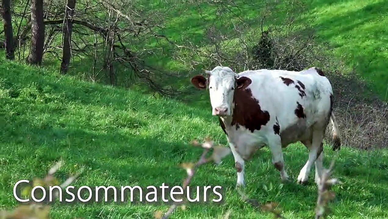 FUN-MOOC : Le bien-être des animaux d'élevage