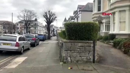 İngiltere'de sokağa inen yabani keçiler böyle görüntülendi