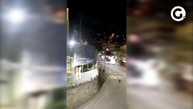 Andorinhas invadem casas e terraços e tomam conta de fios em São Gabriel da Palha
