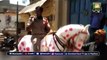 Andhra Police personnel rides on horse painted with COVID-19 virus images