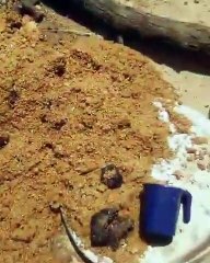 (VIDEO) MARIAGE : LES GENDARMES GÂCHENT LA FÊTE ET RENVERSENT LES MARMITES