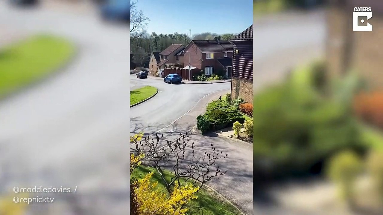 Homem disfarça-se de arbusto para escapar à quarentena