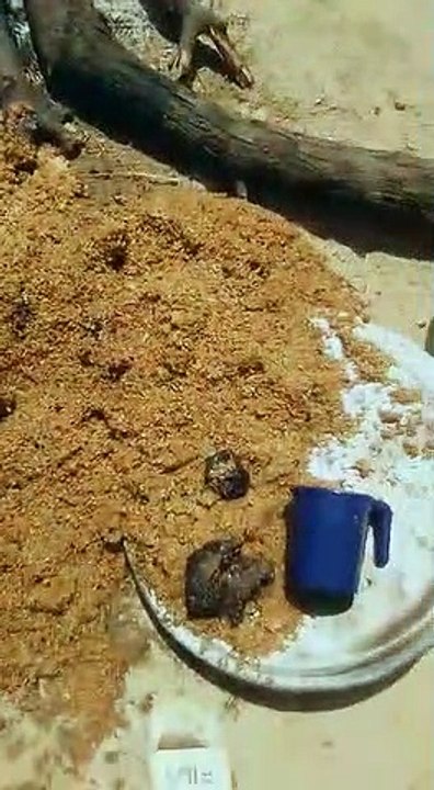 MARIAGE : Les gendarmes gâchent la fête et renversent les marmites