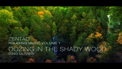 Zentao Relaxing Music Volume 1 - Dozing in the Shady Wood - Dino Olivieri