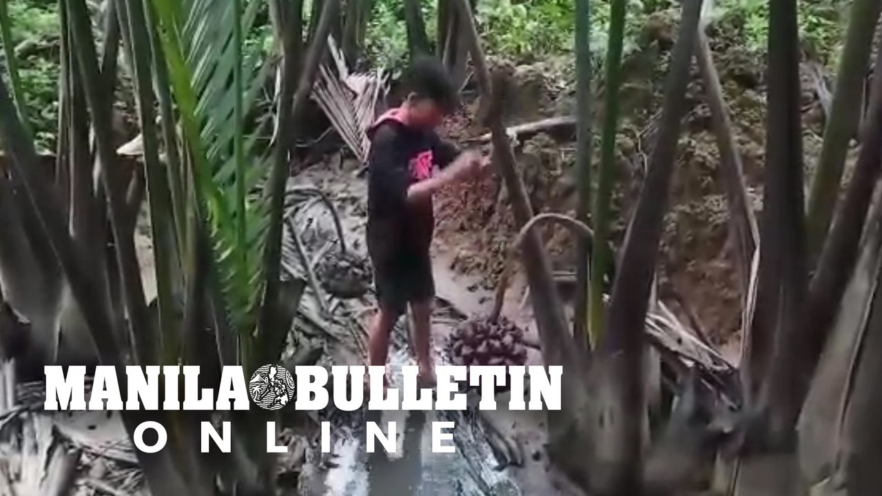 Surigao del Sur town tests local wine as alternative disinfectant against coronavirus