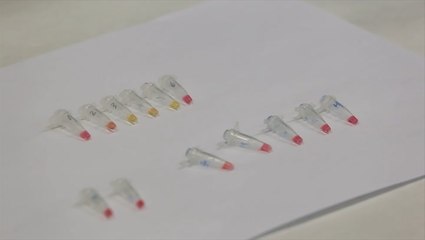 30-minute COVID-19 test could soon be available