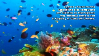 Venezuela y su fauna con Carlos Michel Fumero