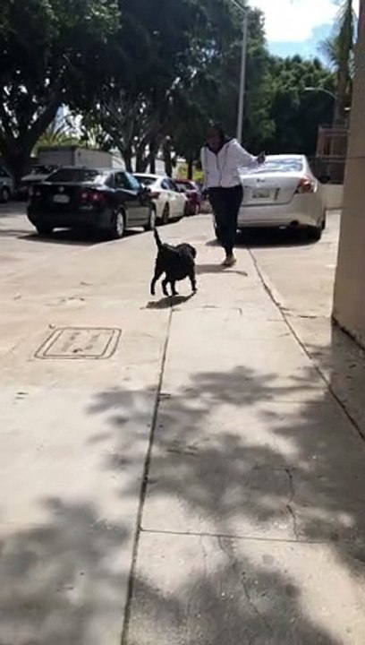 Reunited After a Year Apart