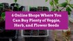 6 Online Shops Where You Can Buy Plenty of Veggie, Herb, and Flower Seeds
