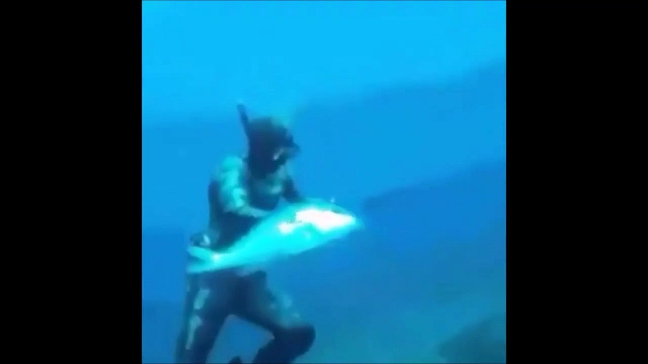 Ce plongeur a failli se faire emporter la main par un mérou géant... chanceux