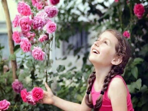 اغنية عيد الام 2019 - كل سنة وانتي طيبة يا امي - ست الحبايب - هدية لكل ام