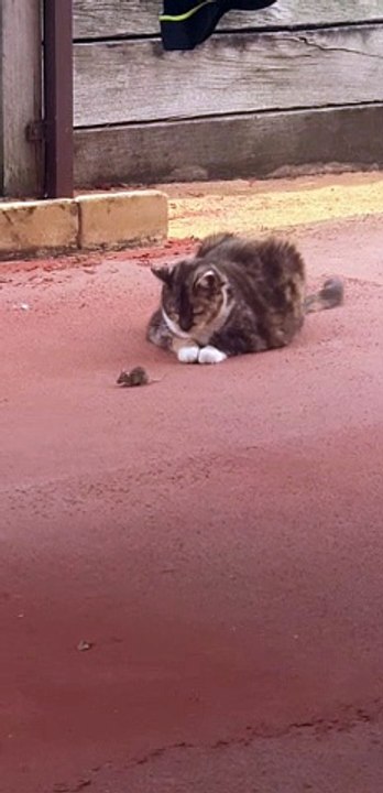 Unexpected Friends