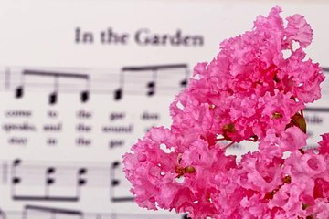 25+ Easter Hymns That Celebrate the Resurrection
