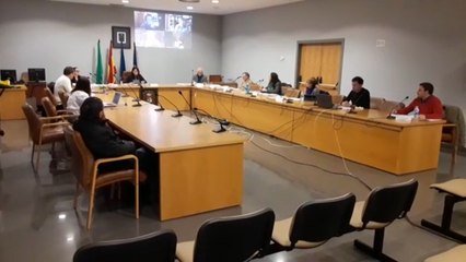 Pleno presencial del Ayuntamiento de Castrillón durante el estado de alarma