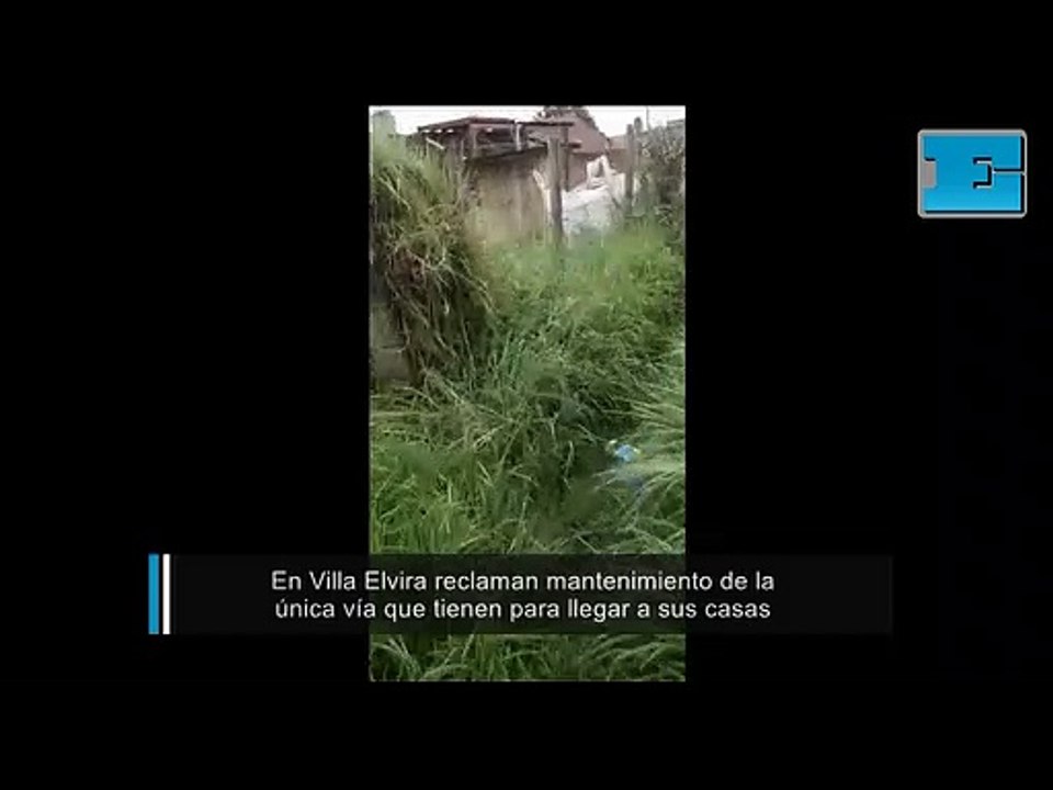 En Villa Elvira reclaman mantenimiento de la única vía que tienen para ...