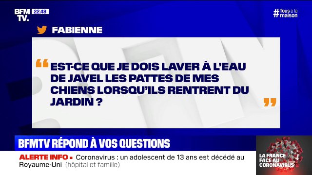 Est-ce que je dois laver à la javel les pattes de mes chiens ? BFMTV répond à vos questions