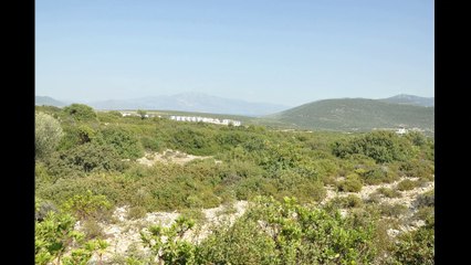 Didim Akyeniköyde Takaslı Satılık Yatırımlık Arsa