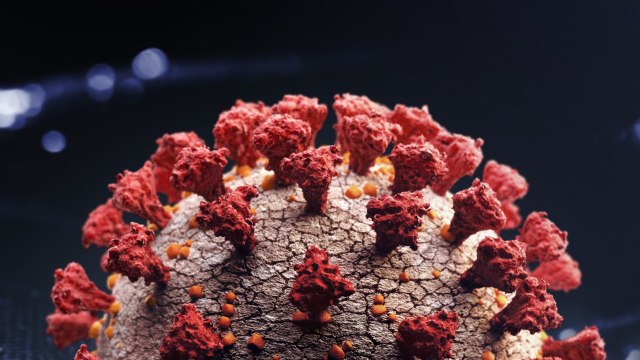 Quebec Struggles With Skyrocketing COVID-19 Cases, Expects Equipment Shortage