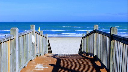 Texas: America's Canary In The Coalmine For Coronavirus Economic Meltdown