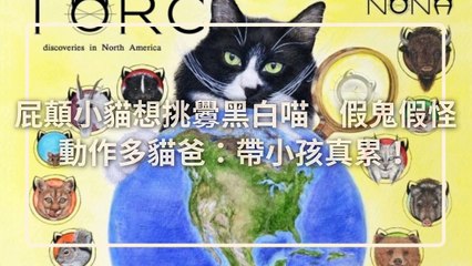 petsmao.nownews-copy1-20200401-11:06