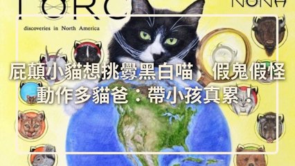 petsmao.nownews-copy3-20200401-11:07