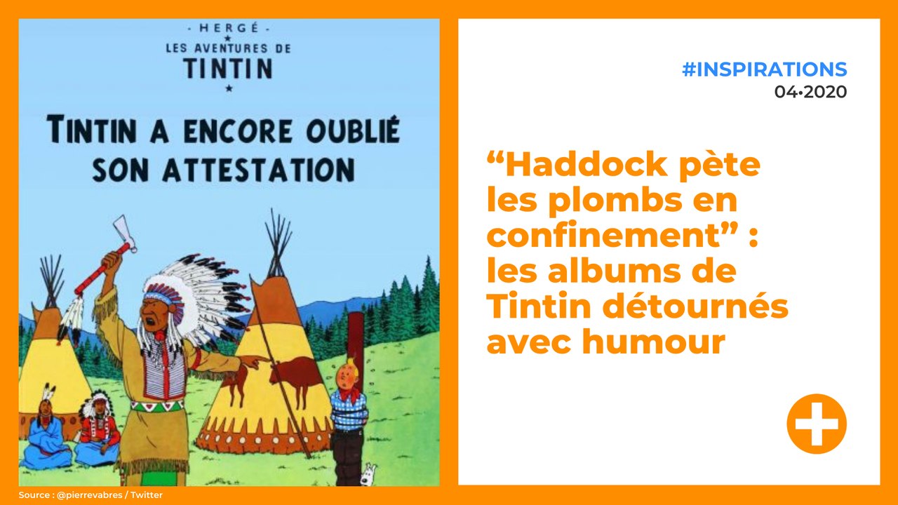 “Haddock pète les plombs en confinement” :  les albums de Tintin détournés avec humour