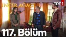 İncir Ağacı 117. Bölüm