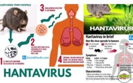 Science behind Hantavirus