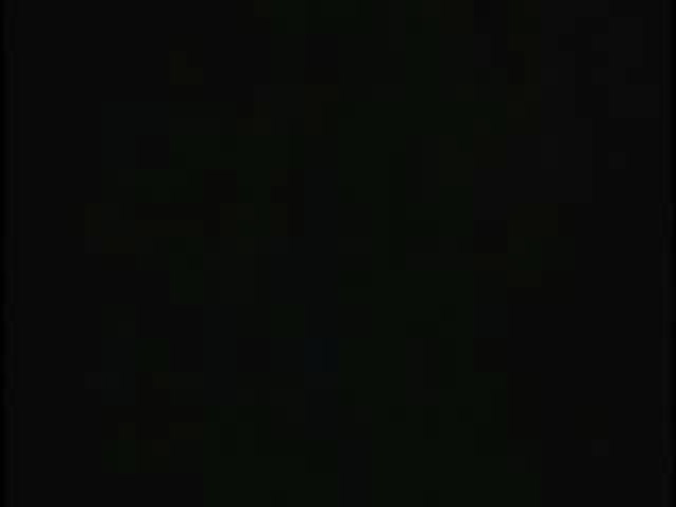 Aaron Russo talks with Ron Paul - Vote in 08!